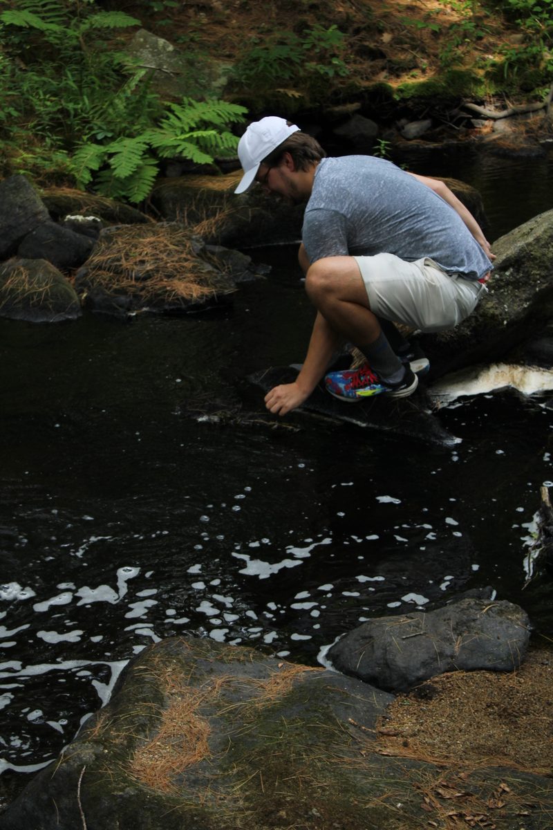Thor crouched on a rock at the edge of a forest creek, looking into the water