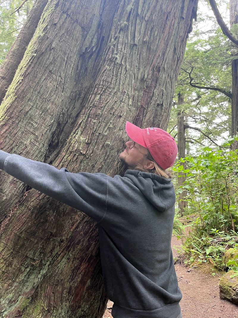 Thor hugging the trunk of a giant old cedar