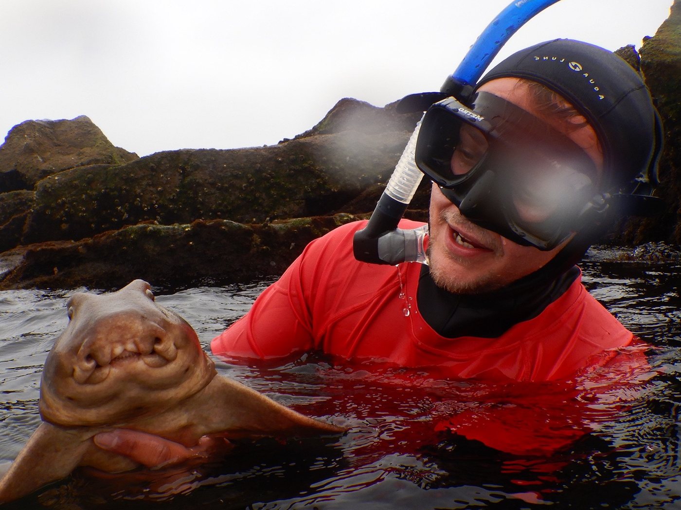 Thor in the water in a snorkel mask, smiling at a horn shark he is holding at the surface